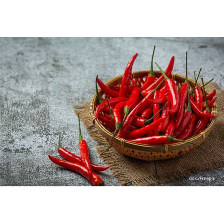 Rode pepper/rawit